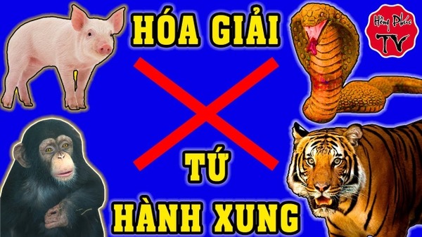 Tứ hành xung là gì - cach hoá giải tư hành xung