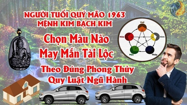 Tuổi Quý Mão 1963 Hợp Màu Gì ? Chọn Màu Xe , Sơn Nhà , Vòng Tay Màu Nào Tốt Nhất