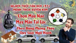 Tuổi Tân Hợi 1971 Hợp Màu Gì ? Chọn Màu Xe , Sơn Nhà , Vòng Tay Màu Nào Tốt Nhất