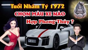 Chọn màu xe ô tô hợp tuổi nhâm tý 1972 mang lại may mắn tránh tai nạn cho chủ xe