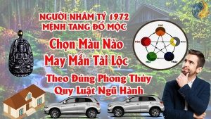 Tuổi Nhâm Tý 1972 Hợp Màu Gì ? Chọn Màu Xe , Sơn Nhà , Vòng Tay Màu Nào Tốt Nhất