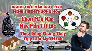 Tuổi Mậu Ngọ 1978 Hợp Màu Gì ? Chọn Màu Xe , Sơn Nhà , Vòng Tay Màu Nào Tốt Nhất