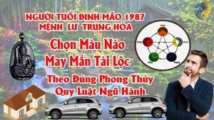 Tuổi Đinh Mão 1987 Hợp Màu Gì ? Chọn Màu Xe , Sơn Nhà , Vòng Tay Màu Nào Tốt Nhất