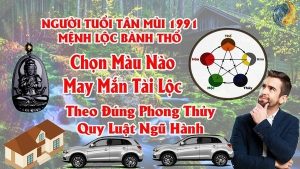Tuổi Tân Mùi 1991 Hợp Màu Gì ? Chọn Màu Xe , Sơn Nhà , Vòng Tay Màu Nào Tốt Nhất