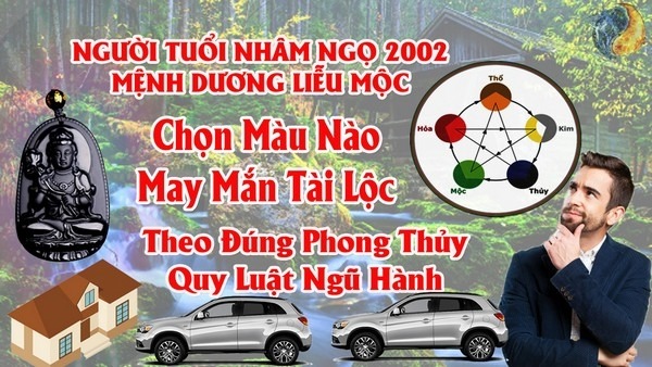 Tuổi Nhâm Ngọ 2002 Hợp Màu Gì ? Chọn Màu Xe , Sơn Nhà , Vòng Tay Màu Nào Tốt Nhất
