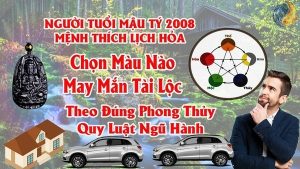 Tuổi Mậu Tý 2008 Hợp Màu Gì ? Chọn Màu Xe , Sơn Nhà , Vòng Tay Màu Nào Tốt Nhất