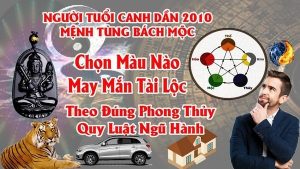 Tuổi Canh Dần 2010 và 1950 Hợp Màu Gì ? Chọn Màu Xe , Sơn Nhà , Vòng Tay Màu Nào Tốt Nhất