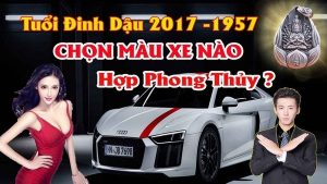 Chọn màu xe ô tô hợp tuổi đinh dậu mang lại may mắn tránh tai nạn cho chủ xe