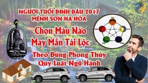 Tuổi Đinh Dậu 1957 và 2017 Hợp Màu Gì ? Chọn Màu Xe , Sơn Nhà , Vòng Tay Màu Nào Tốt Nhất