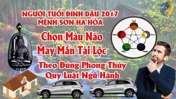 Tuổi Đinh Dậu 1957 và 2017 Hợp Màu Gì ? Chọn Màu Xe , Sơn Nhà , Vòng Tay Màu Nào Tốt Nhất