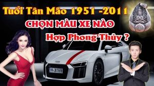 Chọn màu xe ô tô hợp tuổi tân mão mang lại may mắn tránh tai nạn cho chủ xe