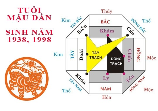 Chọn hướng nhà hợp tuổi nam tuổi mậu dần 1998 mang lại may mắn tài lộc cho chủ nhà